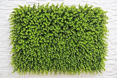 《嗜血印》新版本更新上线 李叔真身觉醒